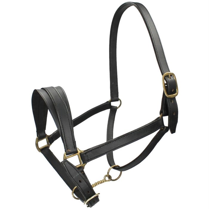 Halter - Image 1
