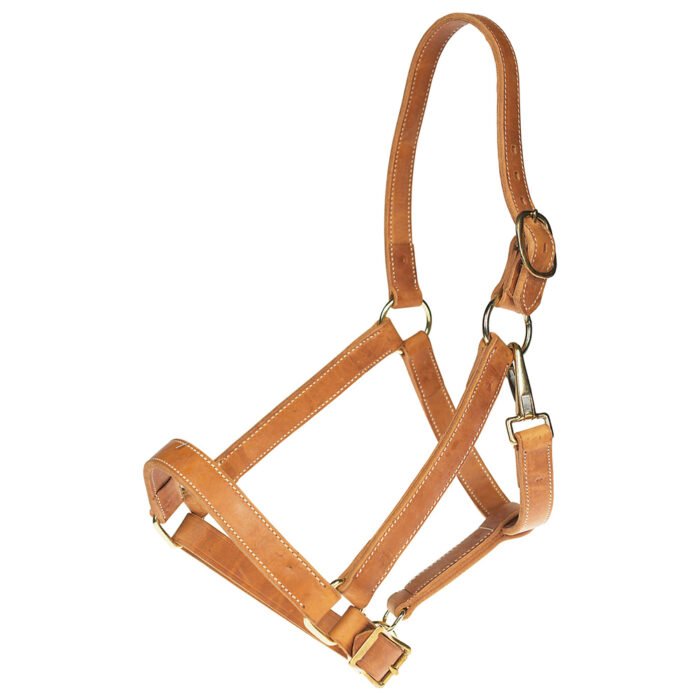 Halter - Image 1