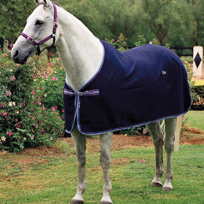 Rugs - Image 1