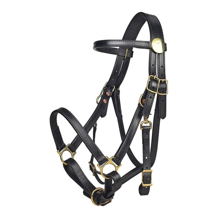Horse Bridle - Image 1
