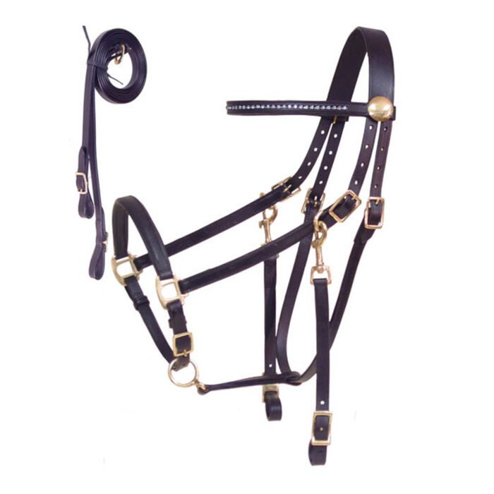 Horse Bridle - Image 1