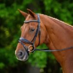 Dressage  Bridle with reins
