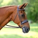 Hunter Horse Bridle