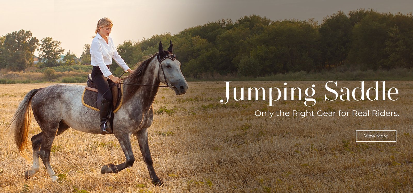 jumping-saddle