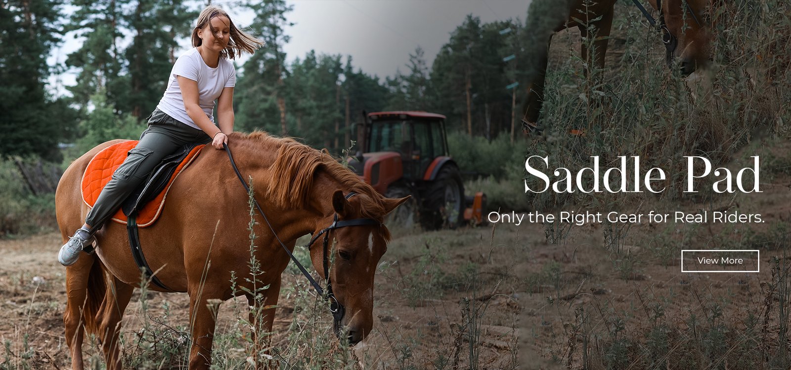 saddle-pad