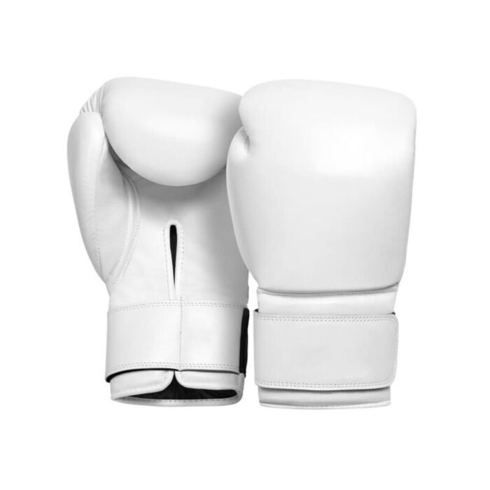 Boxing Gloves - Image 1